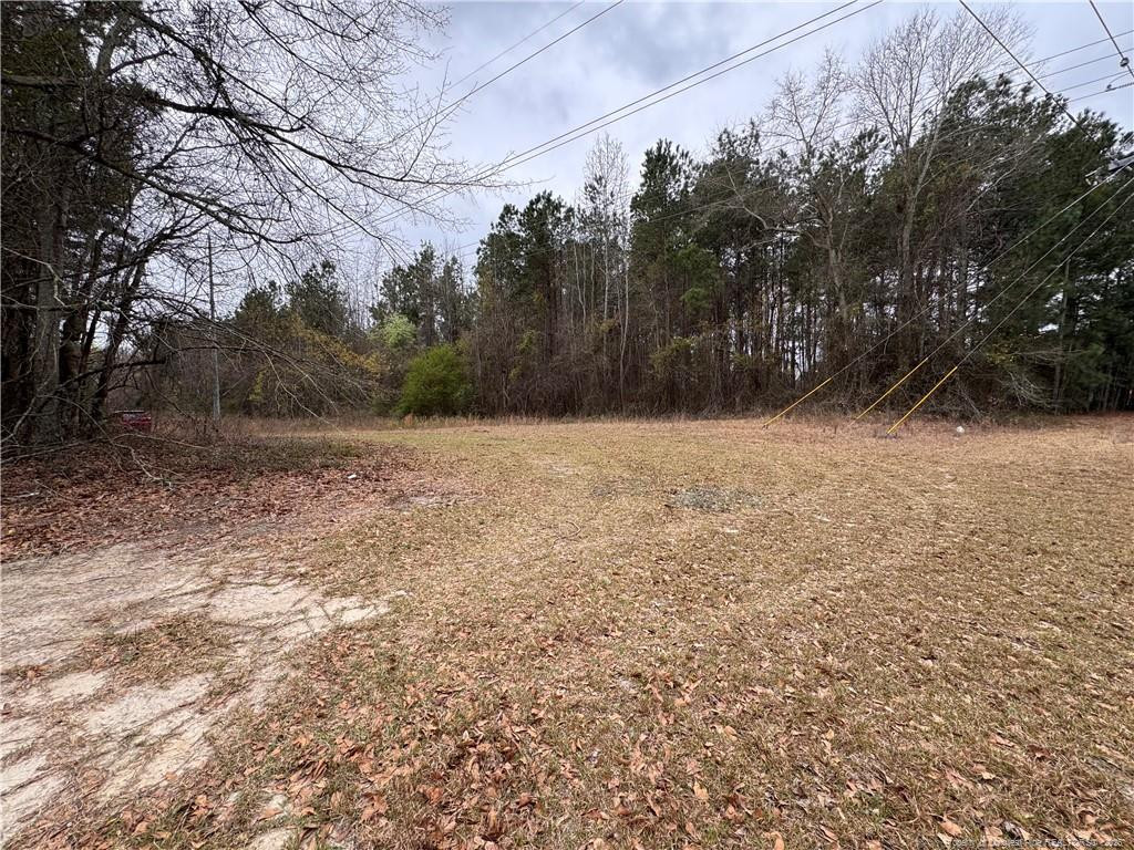 0 Brisson Road Hope Mills, NC 28348 - Photo 2 of 4 a view of a yard with trees