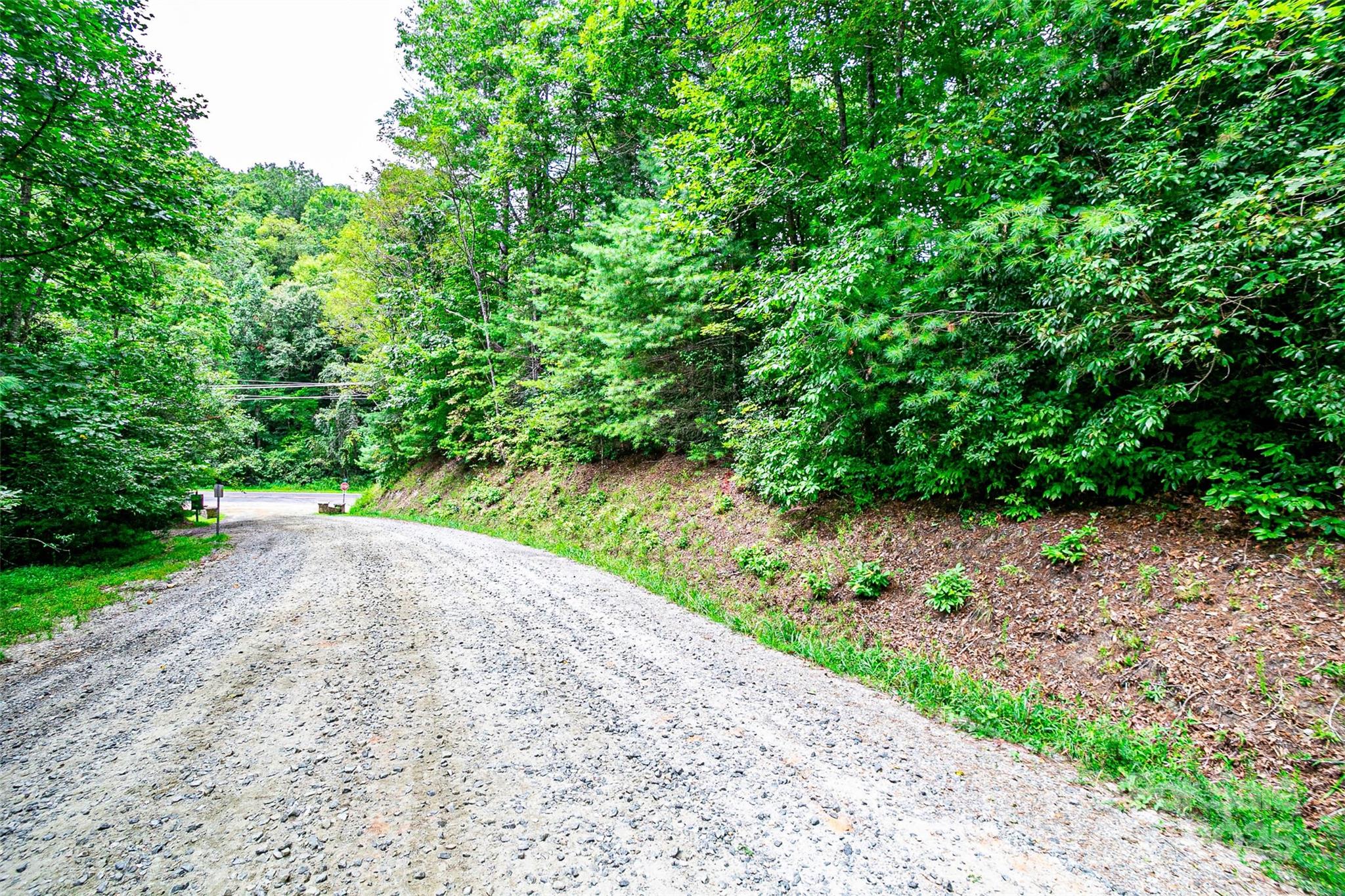 Tbd Big Branch Road Brevard, NC 28712 - Photo 24 of 35 Gallery Image 24