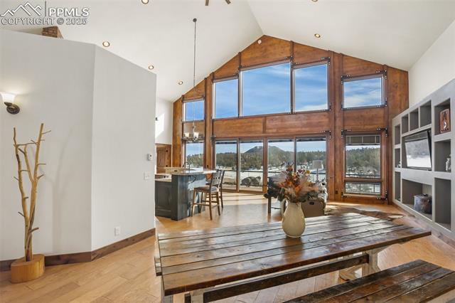 363 Stoll Ranch Road Lake George, CO 80827 - Photo 9 of 50 Gallery Image 9