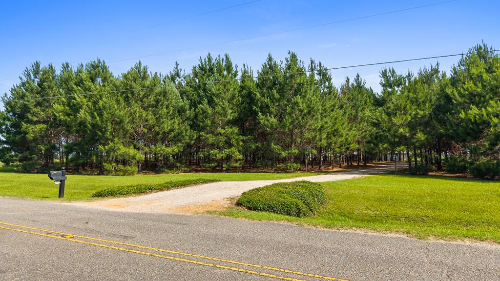 971 Edsel Deese Road Ashford, AL 36312 - Photo 57 of 67