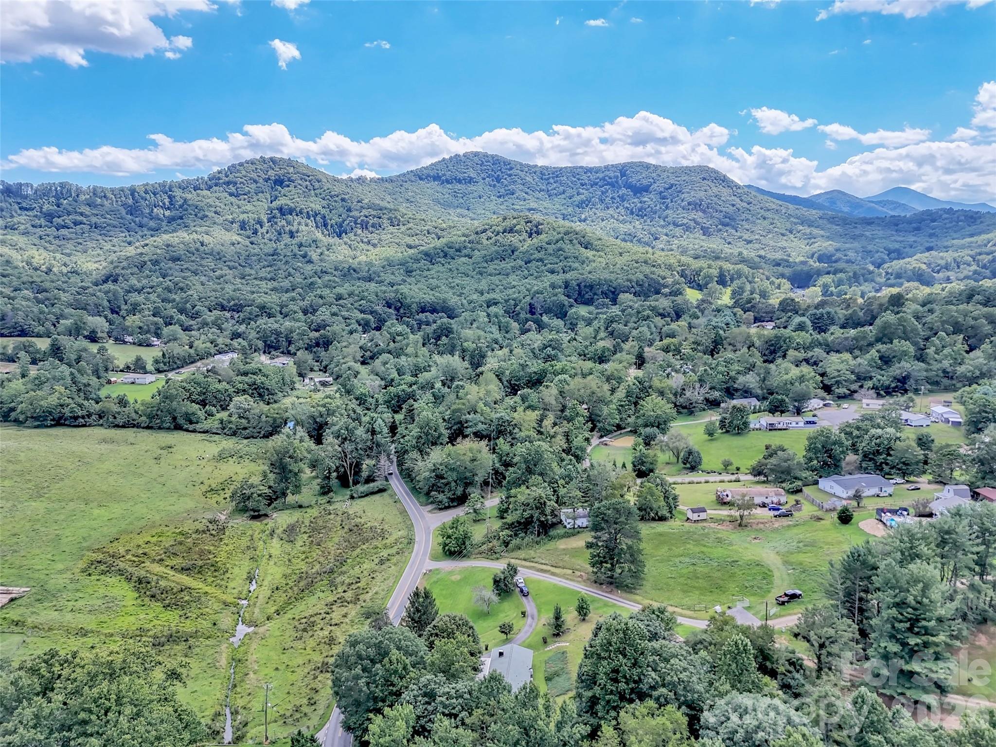 250 Reeves Cove Road Candler, NC 28715 - Photo 42 of 48 Gallery Image 42