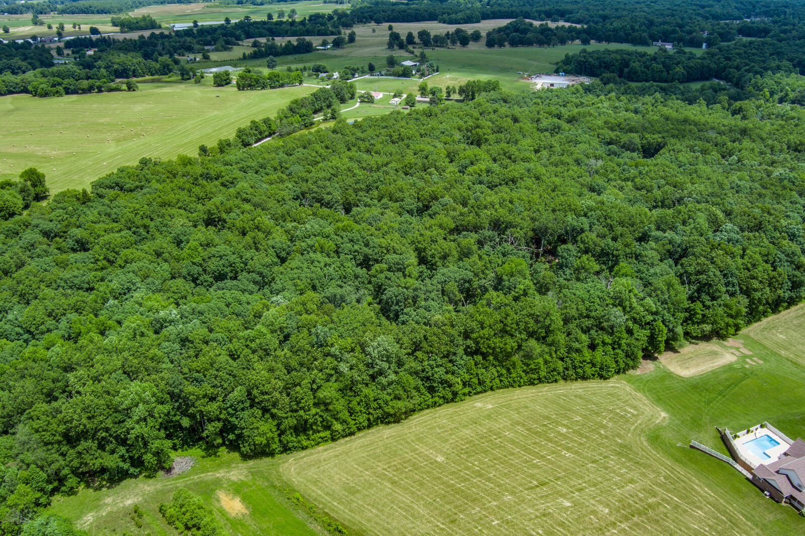 839 Corolla Road Sparta, TN 38583 - Photo 50 of 50 a view of a green yard with a lake view