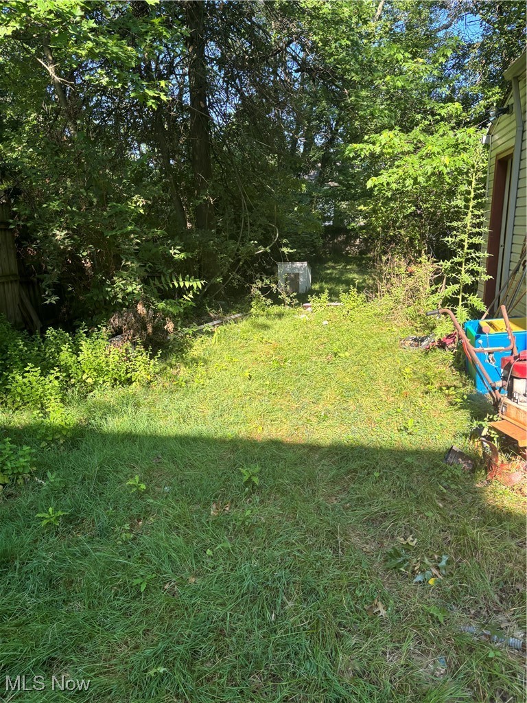986 Woodview Road Cleveland, OH 44121 - Photo 9 of 9 View of yard