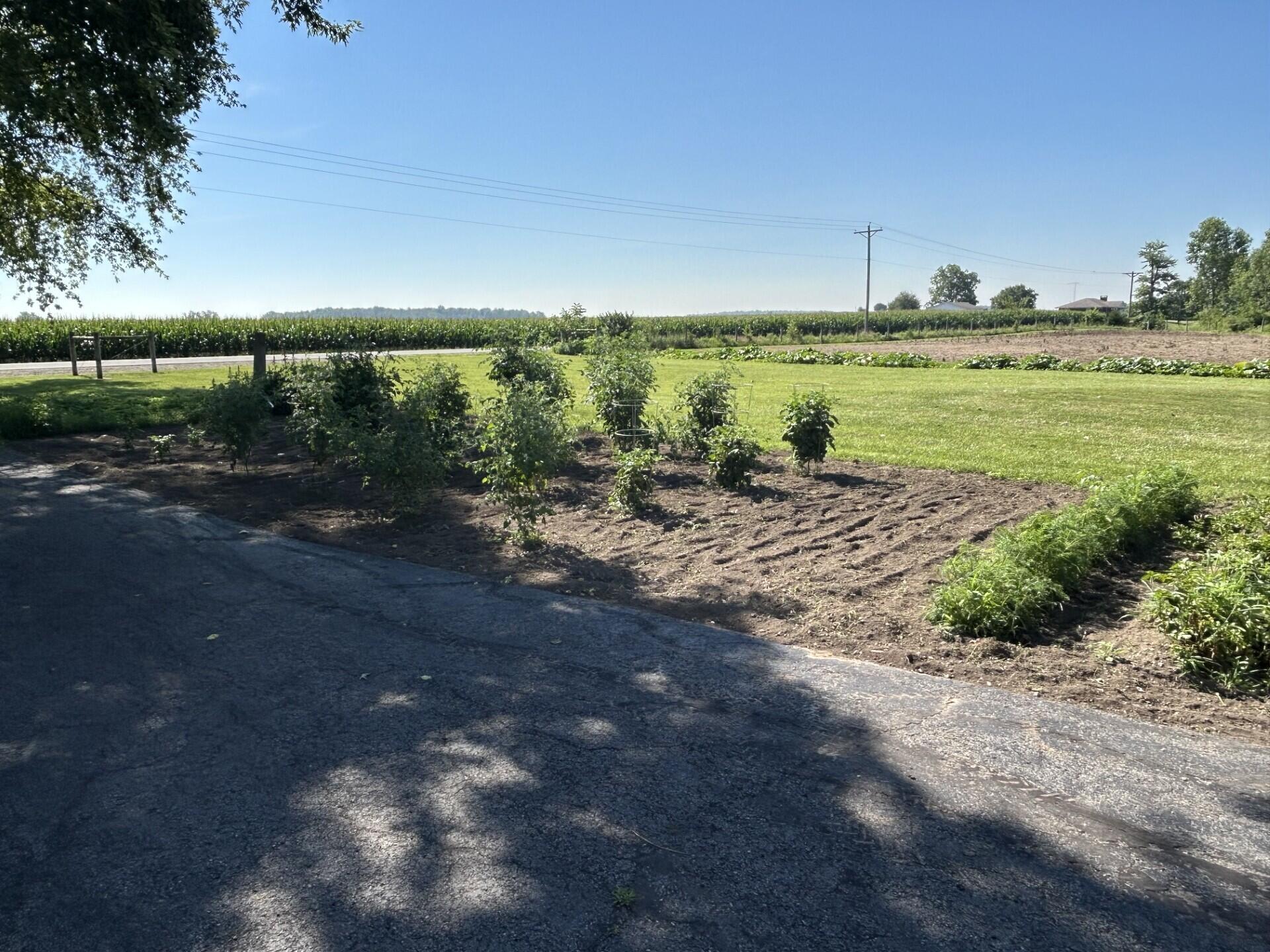 10239 Krugh Road Mendon, OH 45862 - Photo 41 of 52 Garden