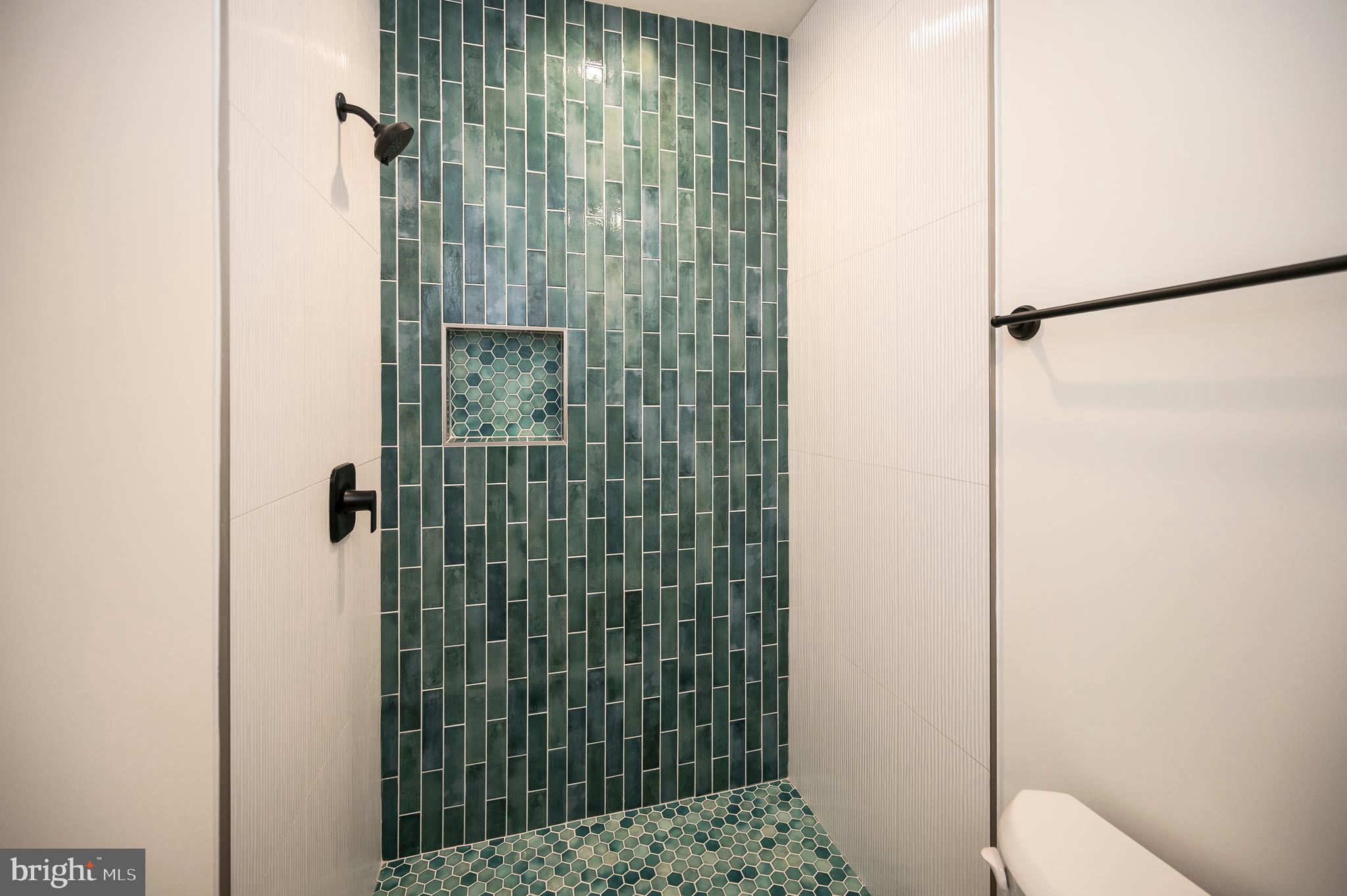 13208 Bristow Road Nokesville, VA 20181 - Photo 25 of 58 Main level bath shower- optioin