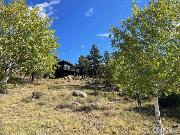 a view of a road with a tree in the background
