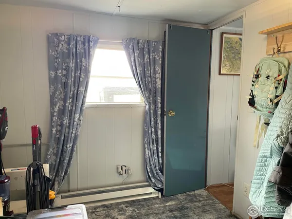 a view of a tree in a yard