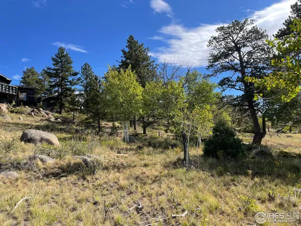 a table and chairs under a large tree