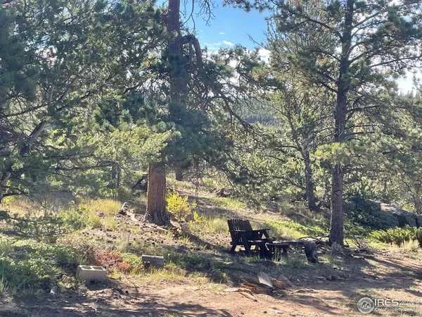 a view of a tree in a yard