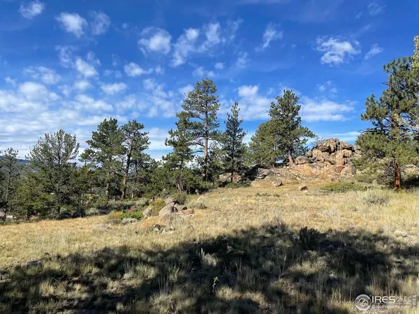 a view of a yard with large trees