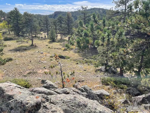 a view of a house with a lush green forest