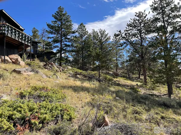 a view of a yard of a house