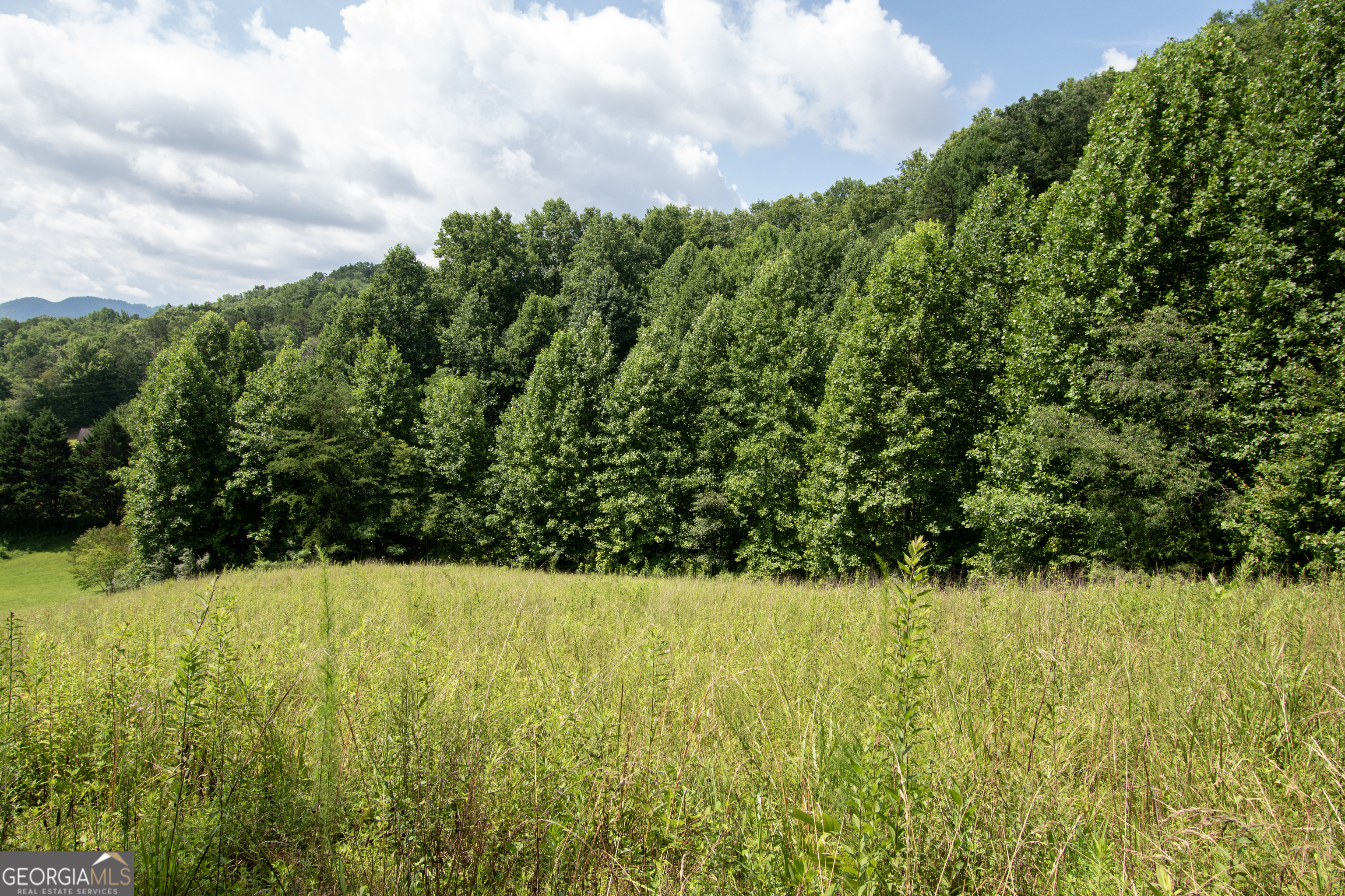 850 Bluff Road Marble, NC 28905 - Photo 27 of 31 Gallery Image 27