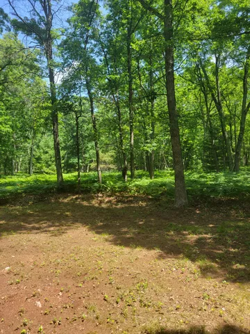 $49,500 | Star Acres Drive, Baldwin, MI 49304