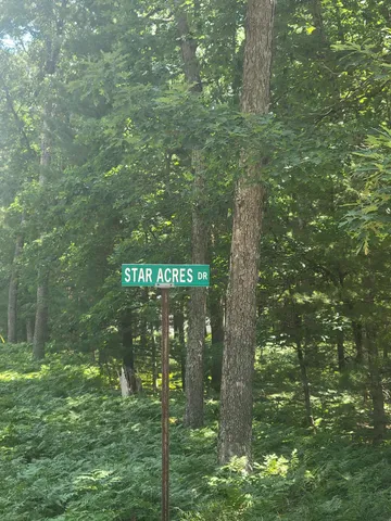 $49,500 | Star Acres Drive, Baldwin, MI 49304