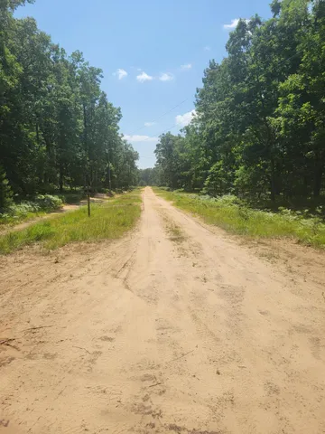 $49,500 | Star Acres Drive, Baldwin, MI 49304