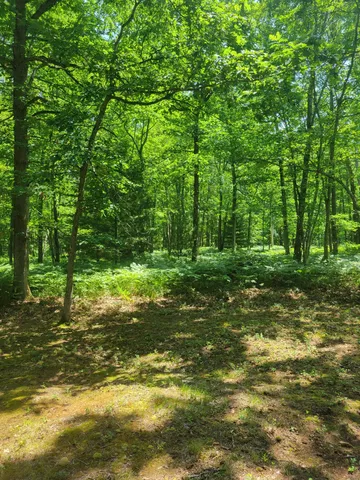 $49,500 | Star Acres Drive, Baldwin, MI 49304