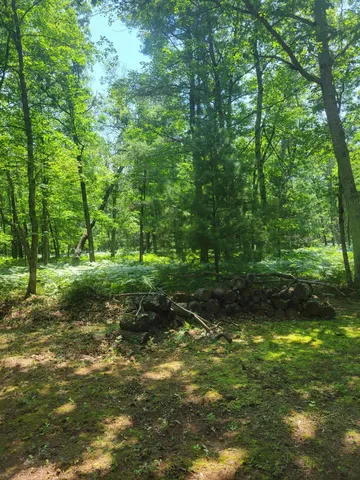 $49,500 | Star Acres Drive, Baldwin, MI 49304