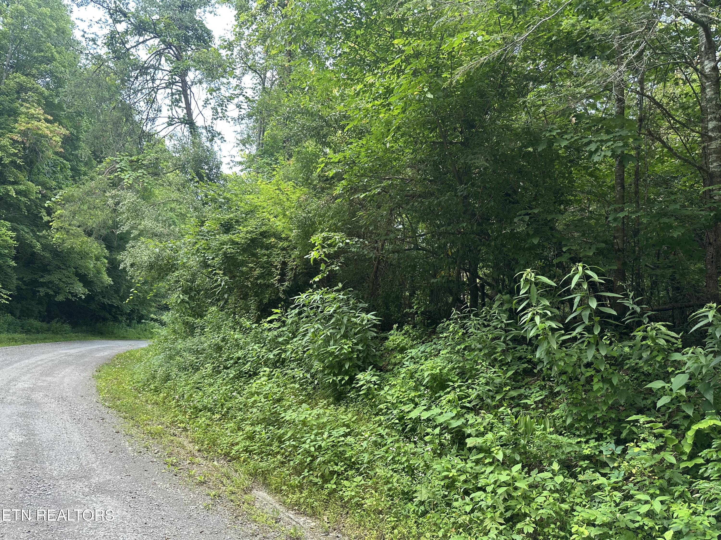 Doc Hollow La Follette, TN 37766 - Photo 11 of 13 IMG_7537