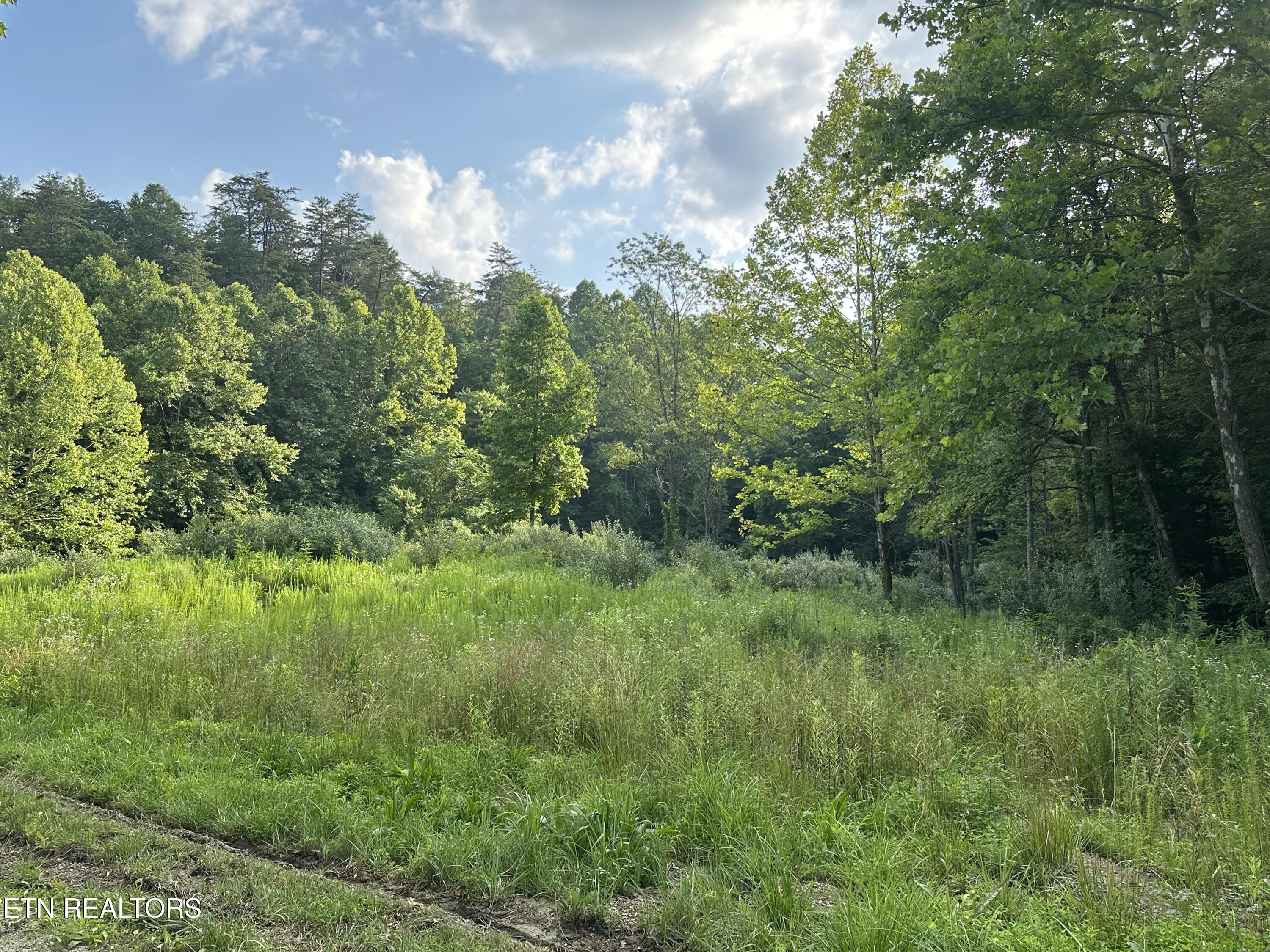 Doc Hollow La Follette, TN 37766 - Photo 2 of 13 IMG_7544