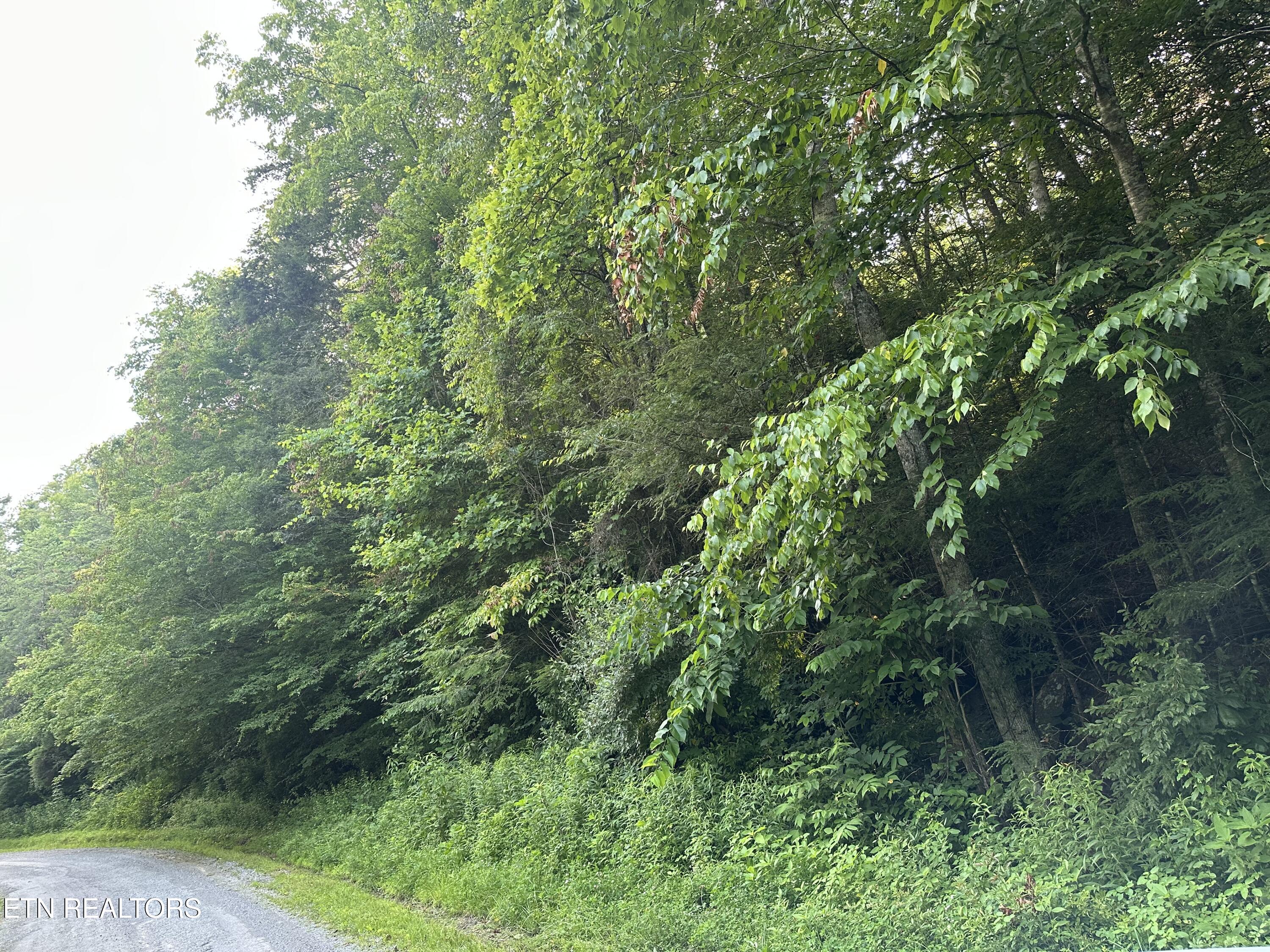 Doc Hollow La Follette, TN 37766 - Photo 3 of 13 IMG_7545