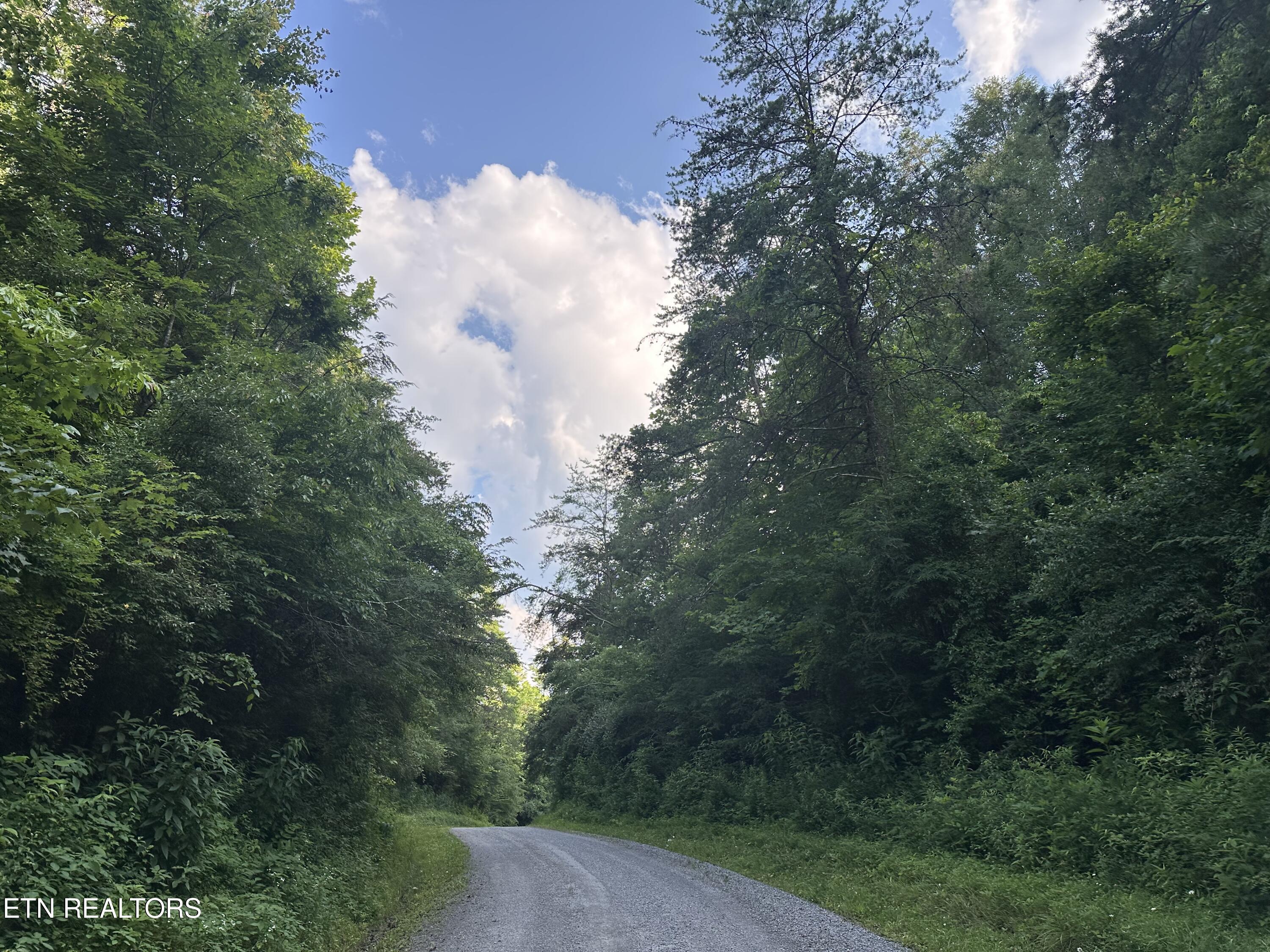 Doc Hollow La Follette, TN 37766 - Photo 5 of 13 IMG_7548