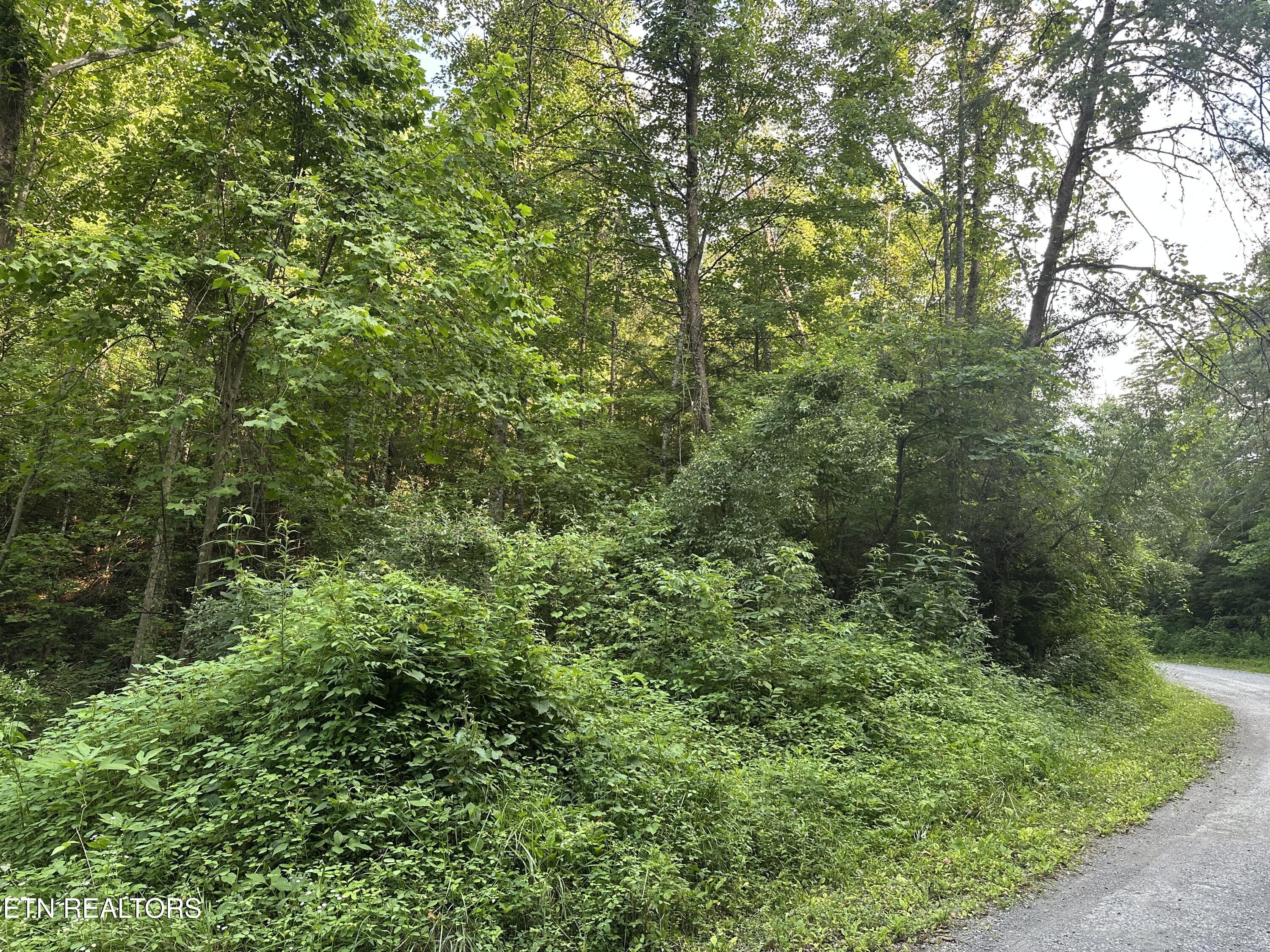 Doc Hollow La Follette, TN 37766 - Photo 6 of 13 IMG_7546