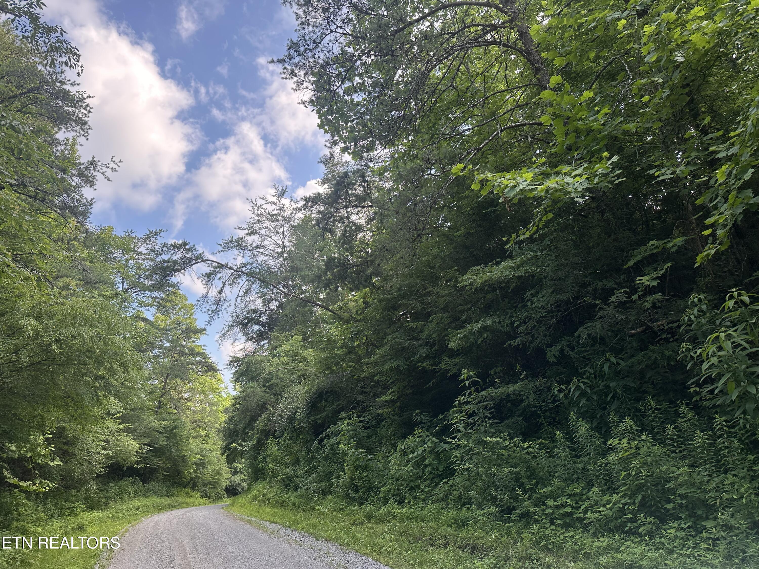 Doc Hollow La Follette, TN 37766 - Photo 7 of 13 IMG_7536