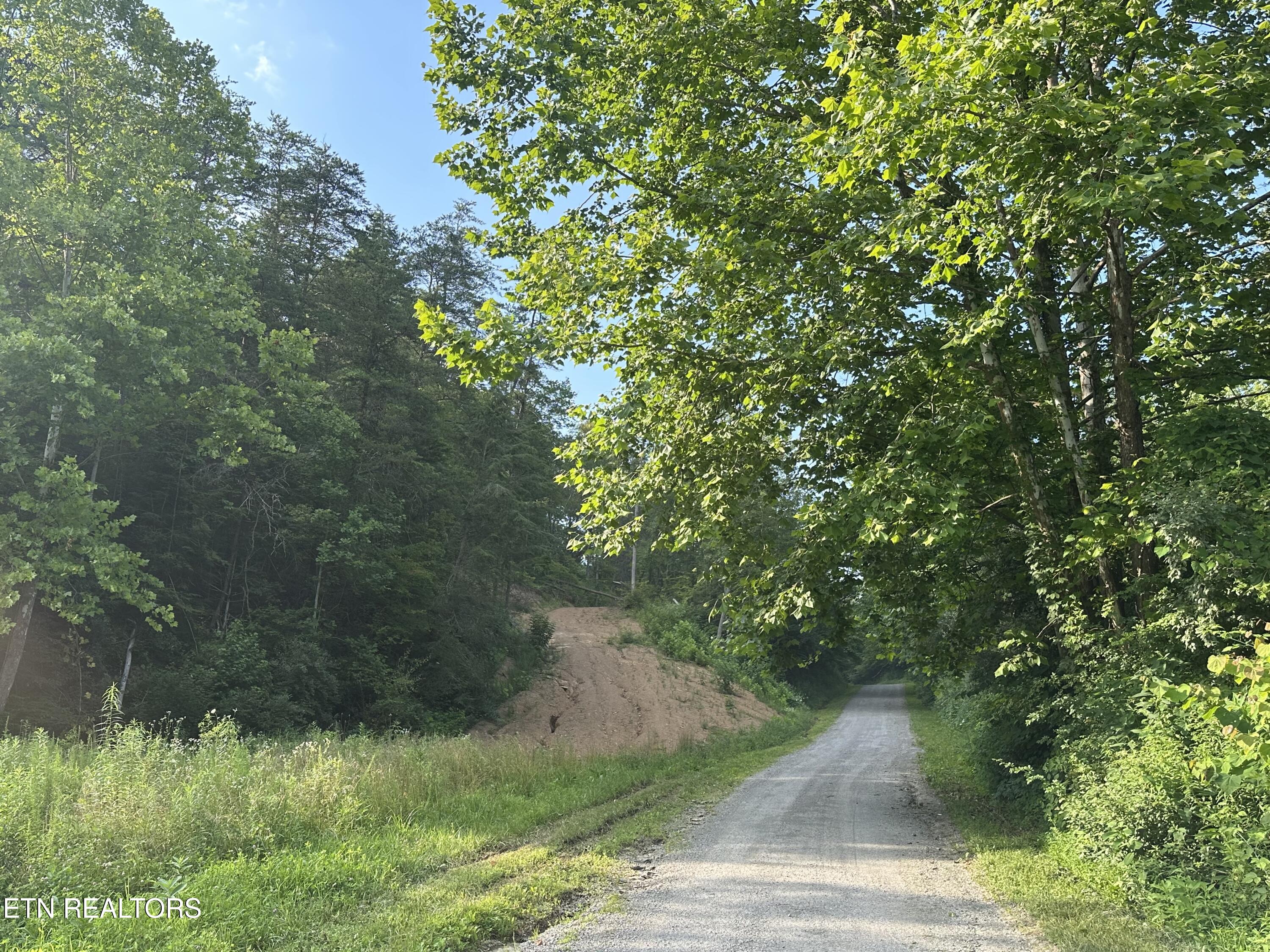 Doc Hollow La Follette, TN 37766 - Photo 9 of 13 IMG_7542