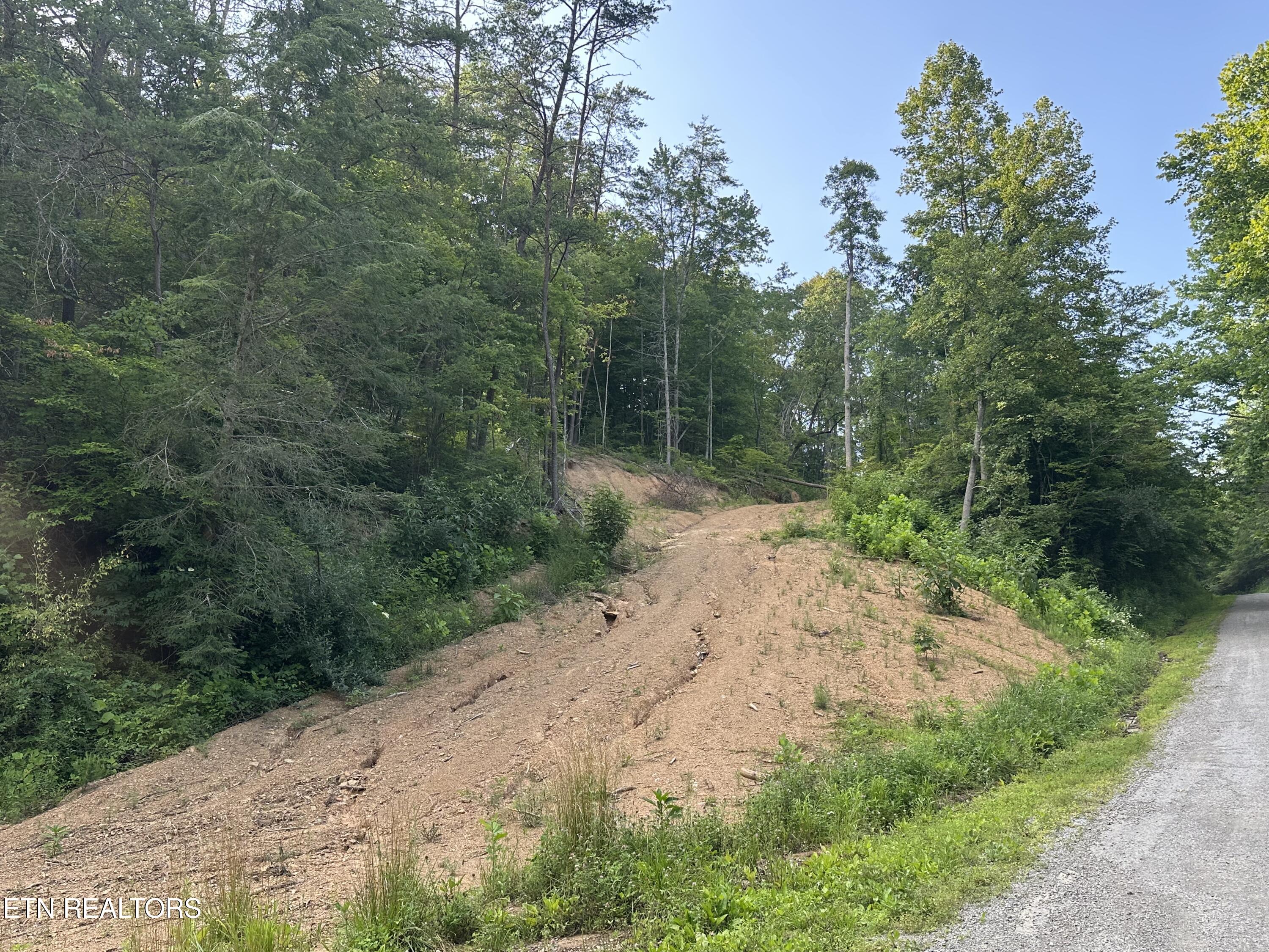 Doc Hollow La Follette, TN 37766 - Photo 10 of 13 IMG_7543