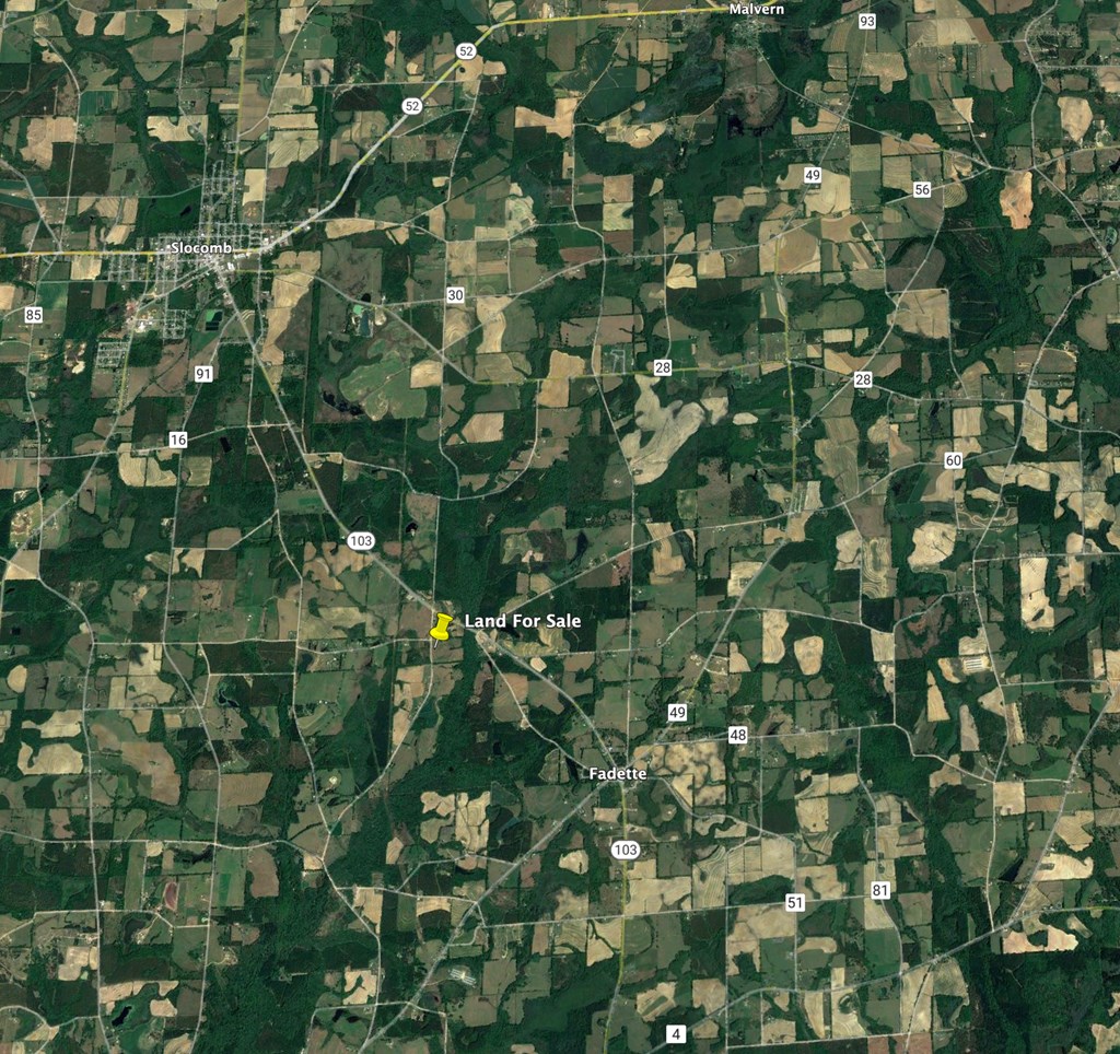 24.6-acres Grant Road Slocomb, AL 36375 - Photo 12 of 17