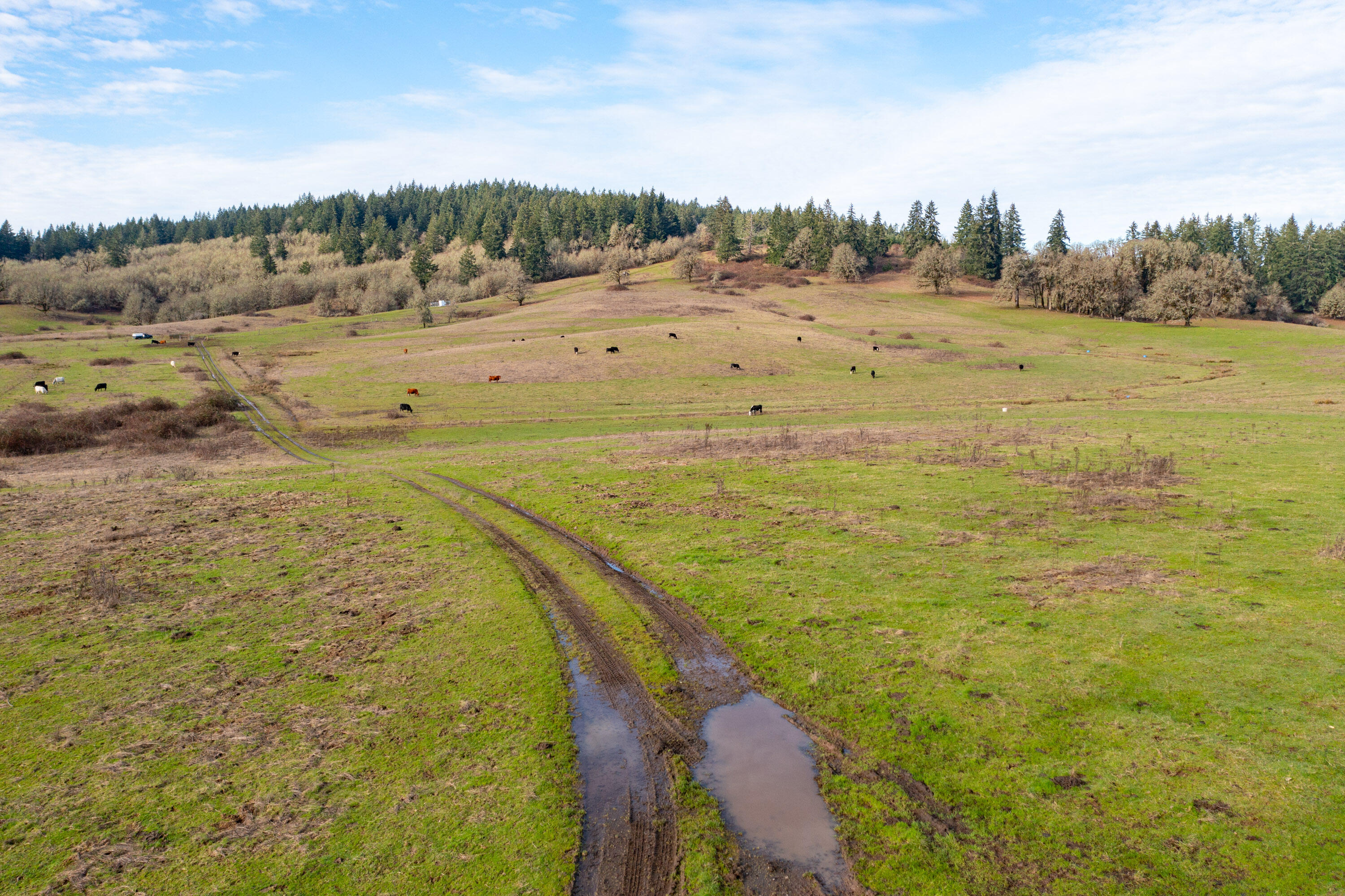 Airlie Road Monmouth, OR 97361 - Photo 26 of 34 Gallery Image 26