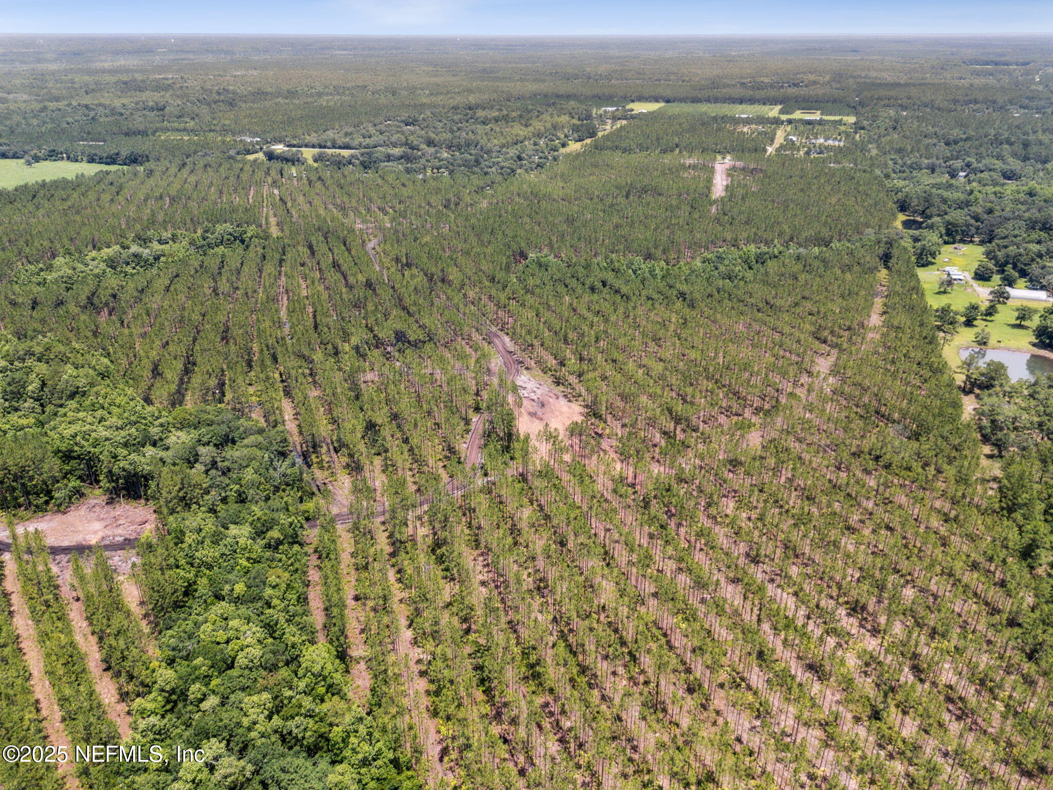0 Lake Hampton Road Hilliard, FL 32046 - Photo 12 of 17 Aerial 4