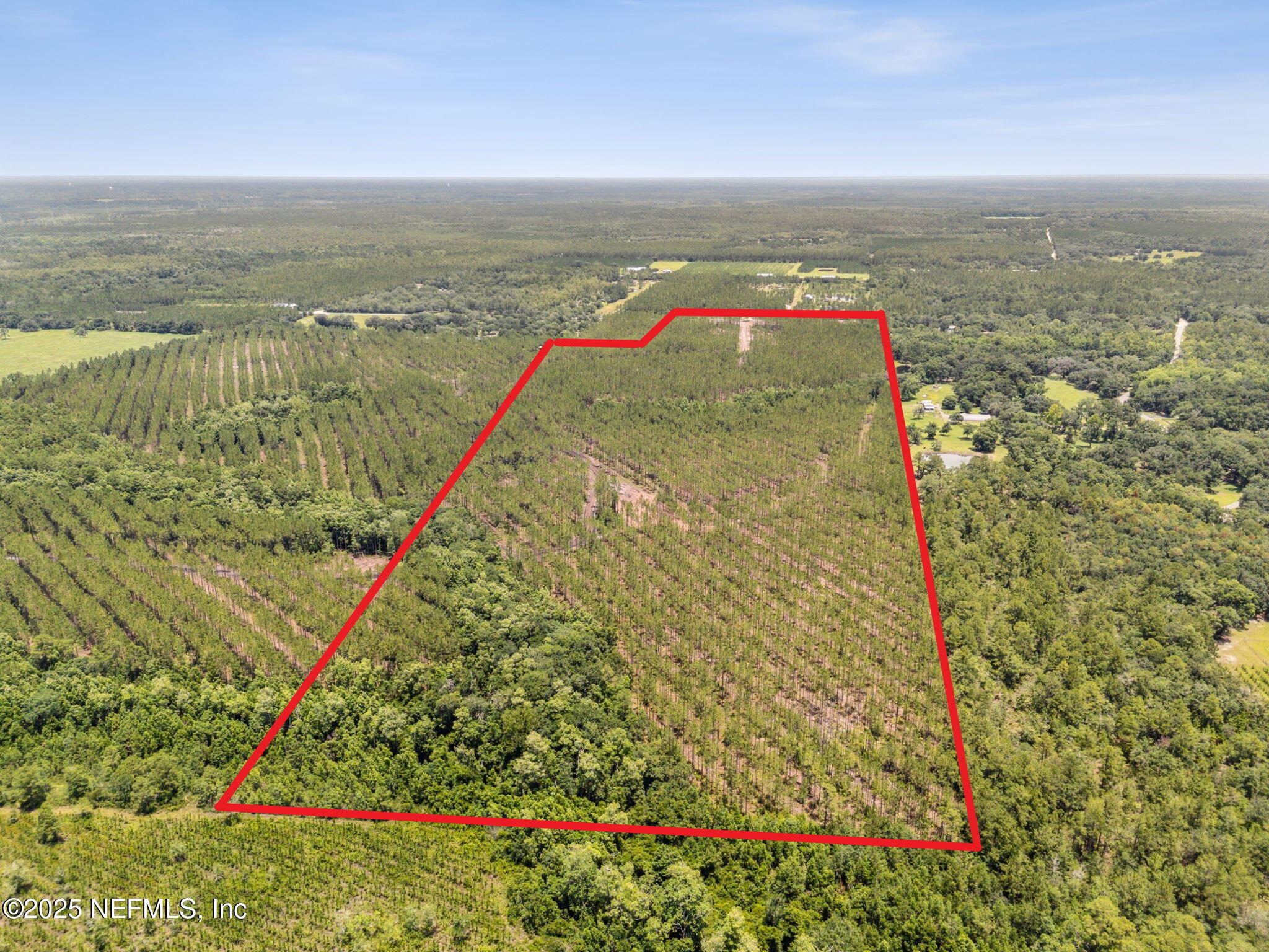 0 Lake Hampton Road Hilliard, FL 32046 - Photo 3 of 17 Aerial Approx Boundaries