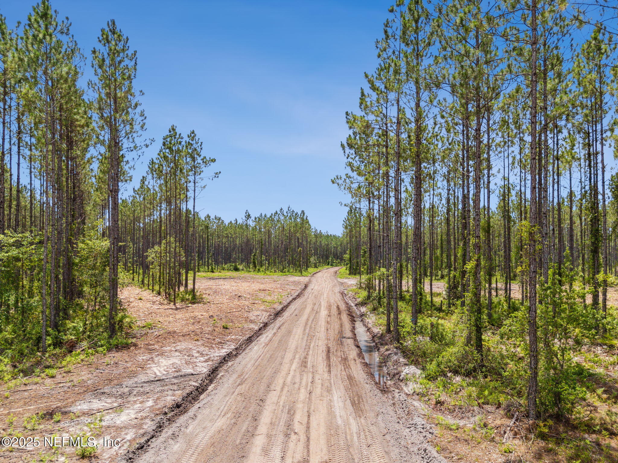 0 Lake Hampton Road Hilliard, FL 32046 - Photo 5 of 17 Driveway In