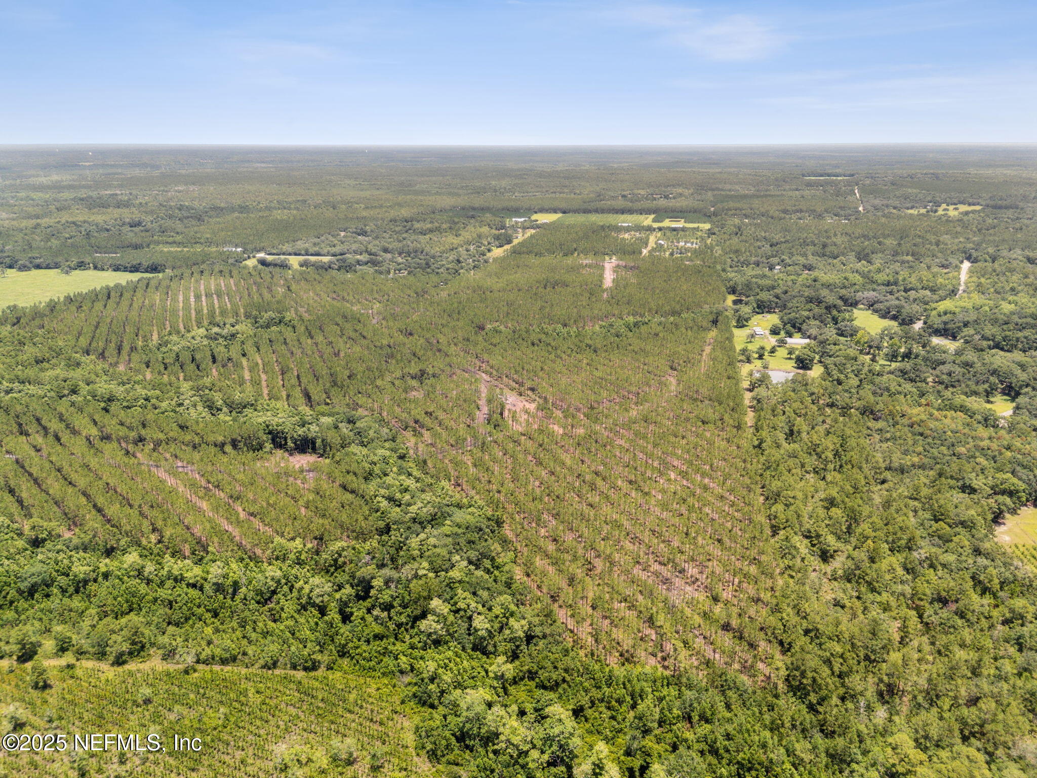 0 Lake Hampton Road Hilliard, FL 32046 - Photo 7 of 17 Aerial
