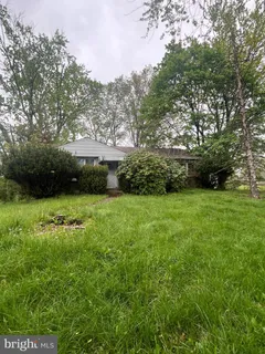 a view of a garden