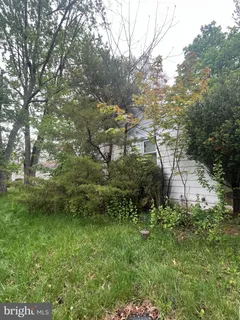 a view of a garden