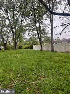 a view of garden with tree