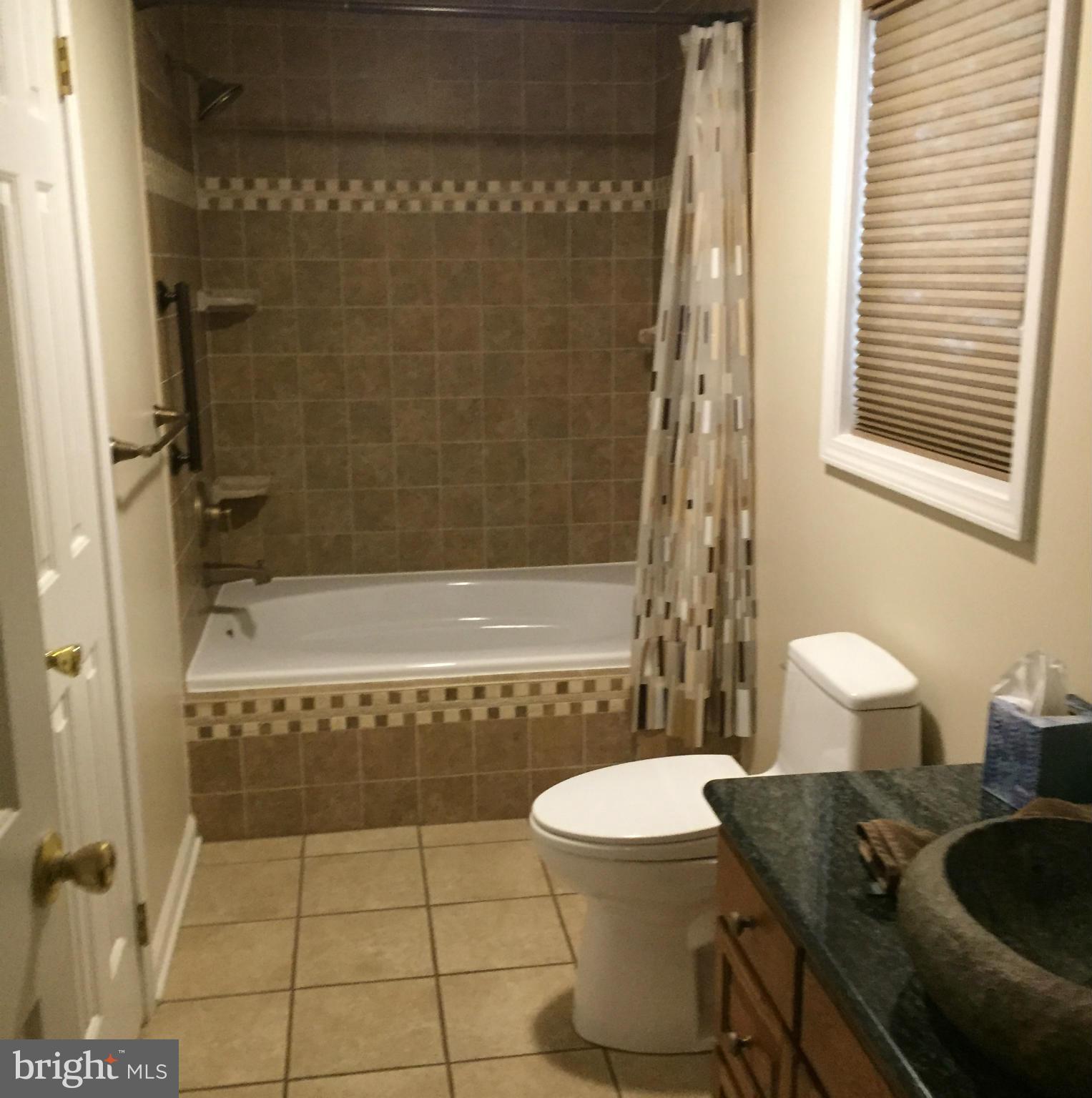 6640 Pine Top Road Hurlock, MD 21643 - Photo 24 of 30 Bath (Master) Stone tiles soaking Tub with shower