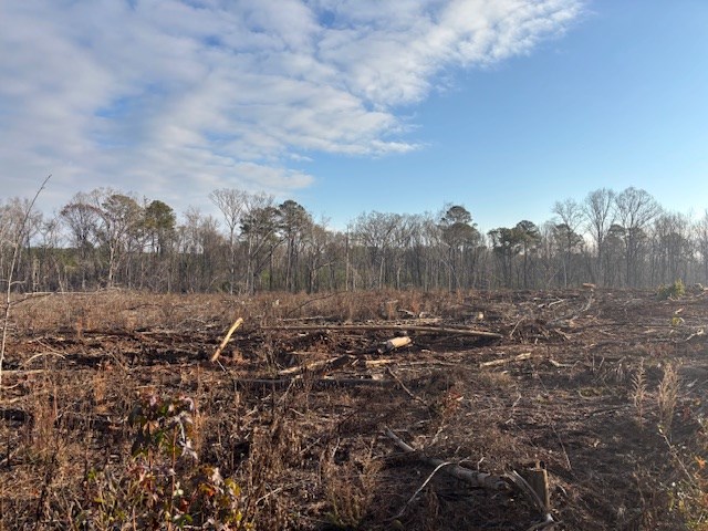 - Chipley Road Greenwood, SC 29646 - Photo 29 of 34