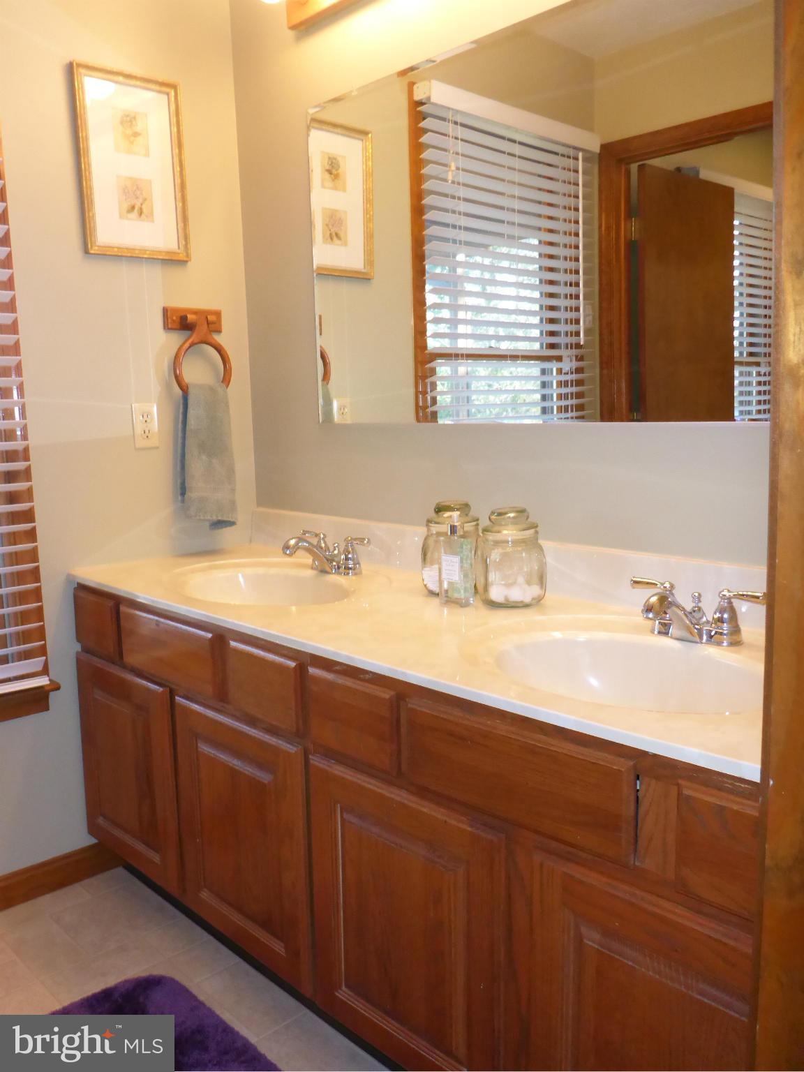 458 McCauley Road Conowingo, MD 21918 - Photo 13 of 30 Master Bath with double bowl vanity