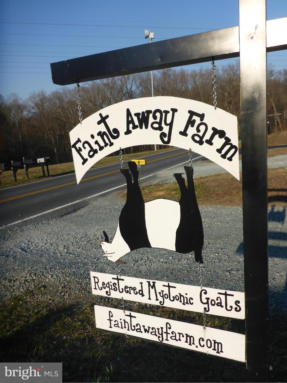 458 McCauley Road Conowingo, MD 21918 - Photo 21 of 30 Currently an operating goat farm