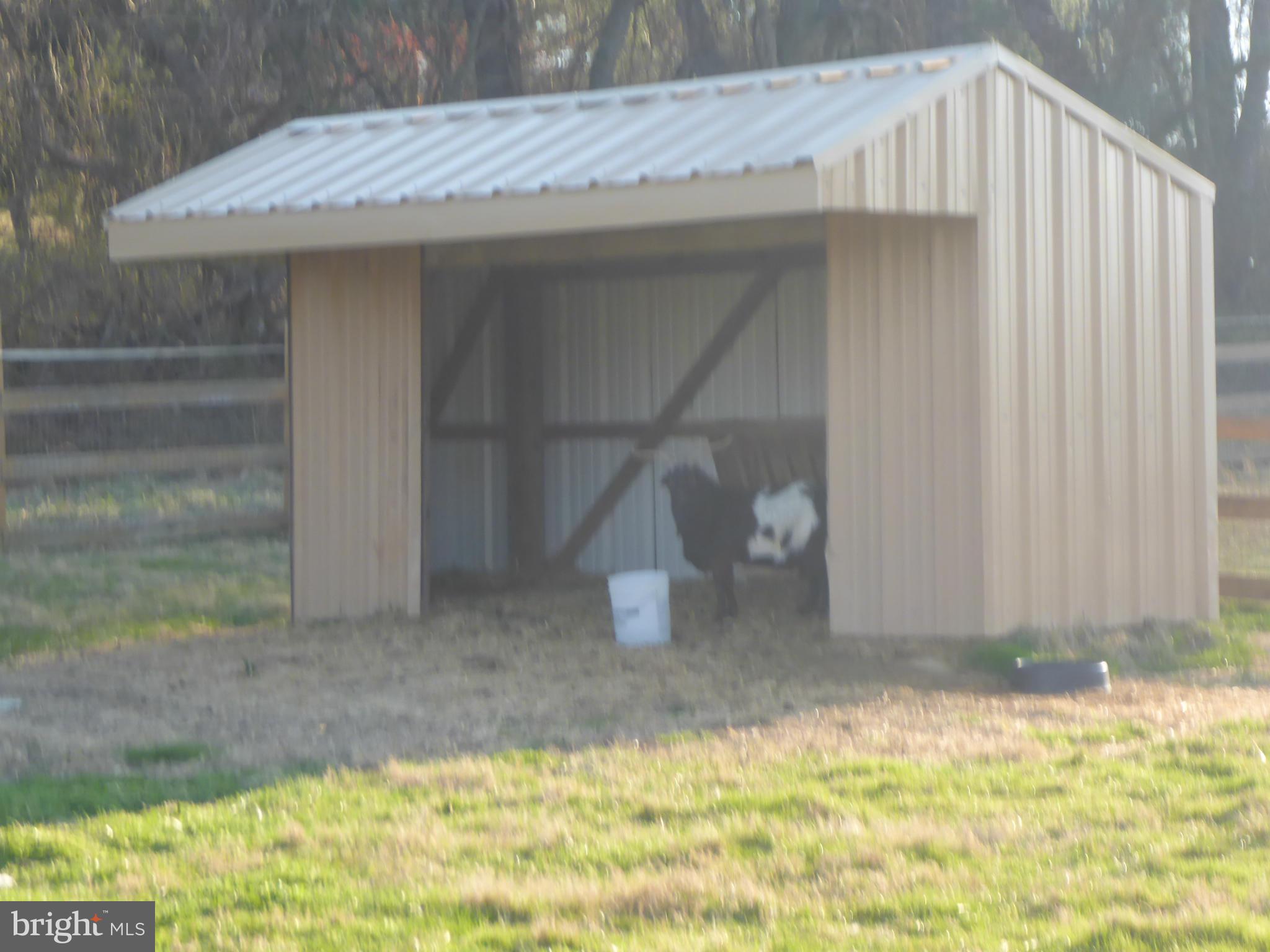 458 McCauley Road Conowingo, MD 21918 - Photo 27 of 30 Run-in shed
