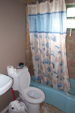 778 Spring Street Aurora, IL 60505 - Photo 9 of 16 a white toilet sitting next to a shower curtain