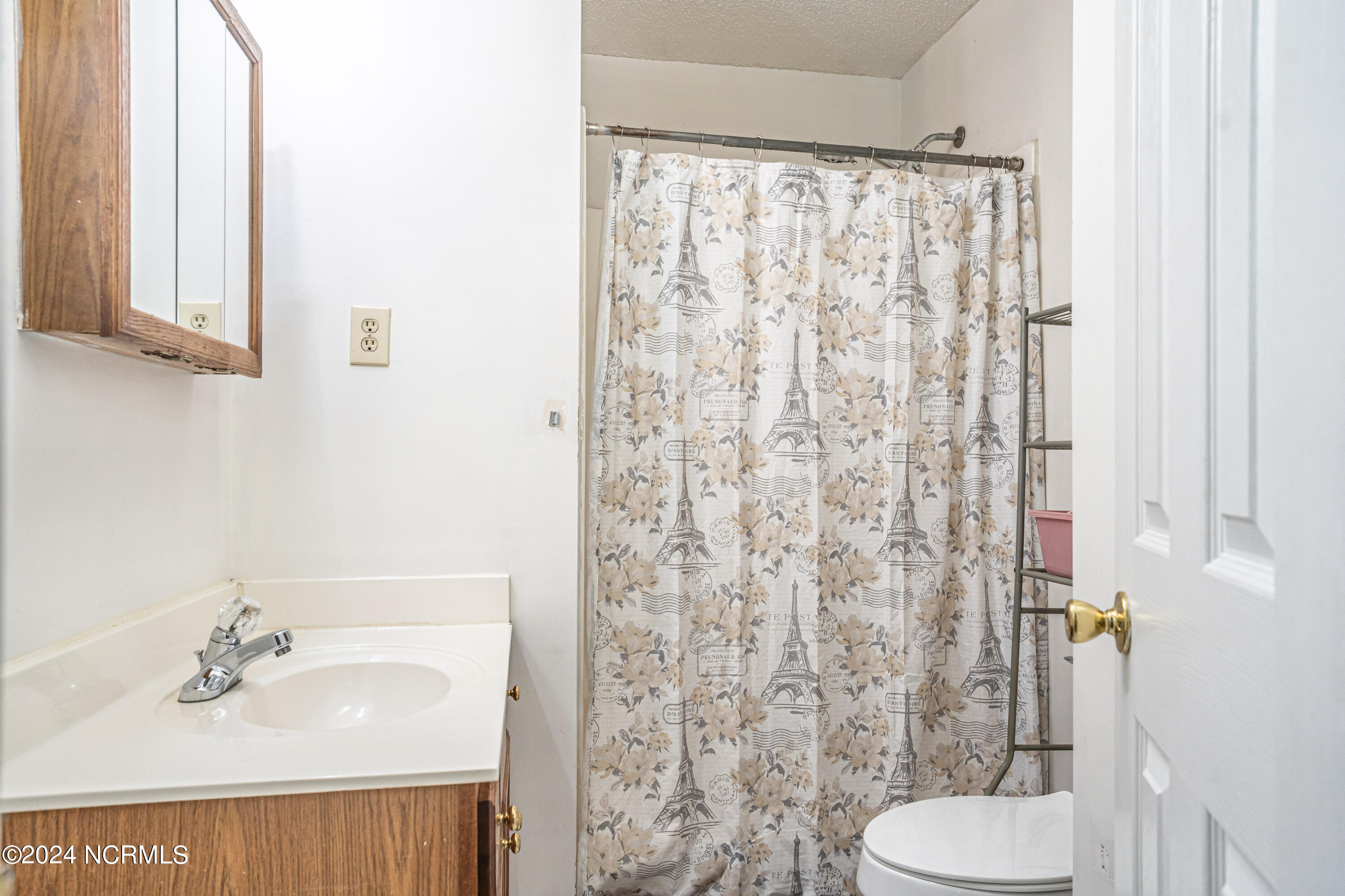 117 Katie Lane Rockingham, NC 28379 - Photo 24 of 39 DSC03633