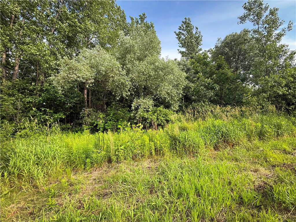 13108 Ridge Road Wolcott, NY 14590 - Photo 14 of 50