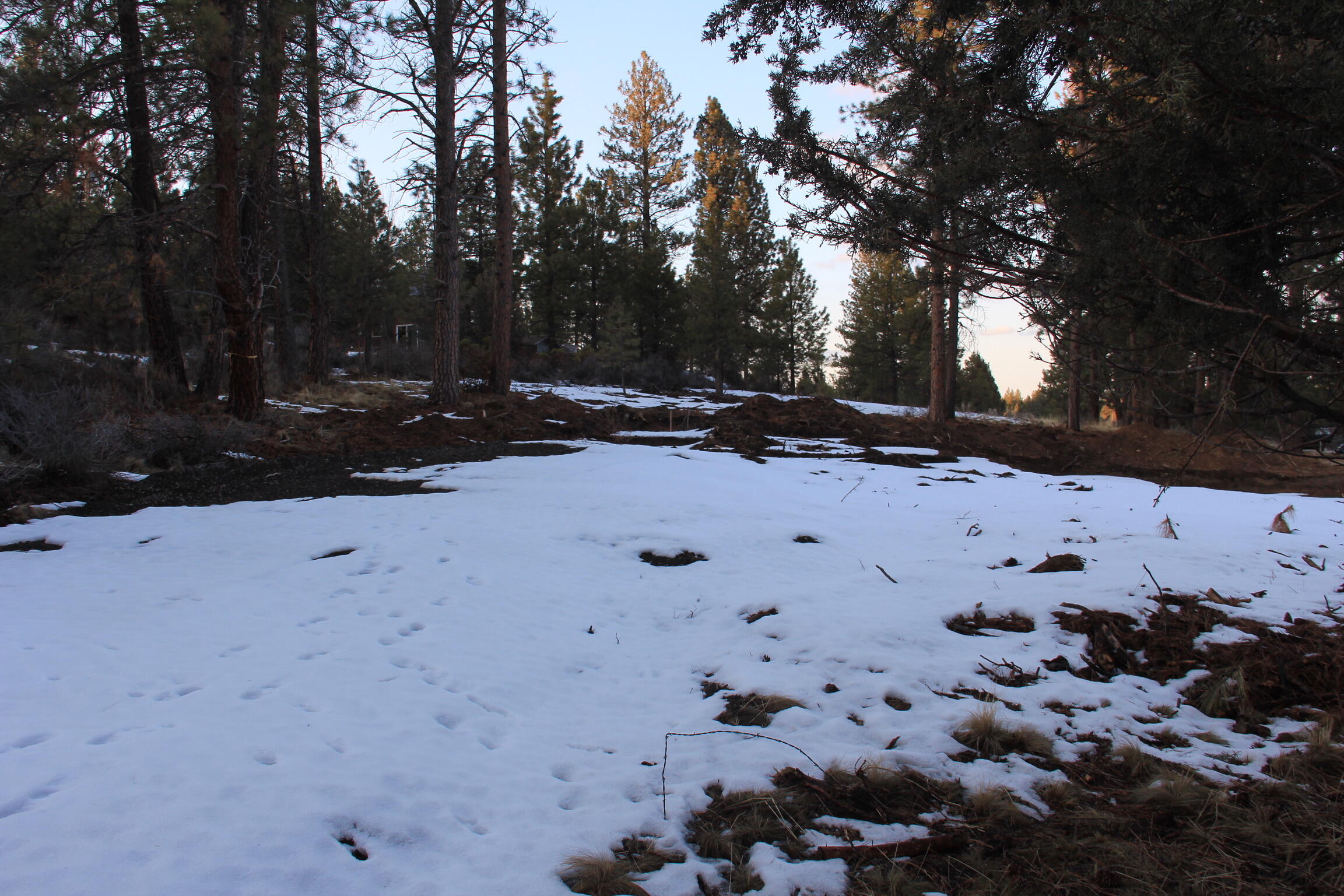 19148 Pumice Butte Road Bend, OR 97702 - Photo 12 of 18 IMG-5105
