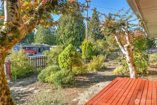 a view of a garden with flowers