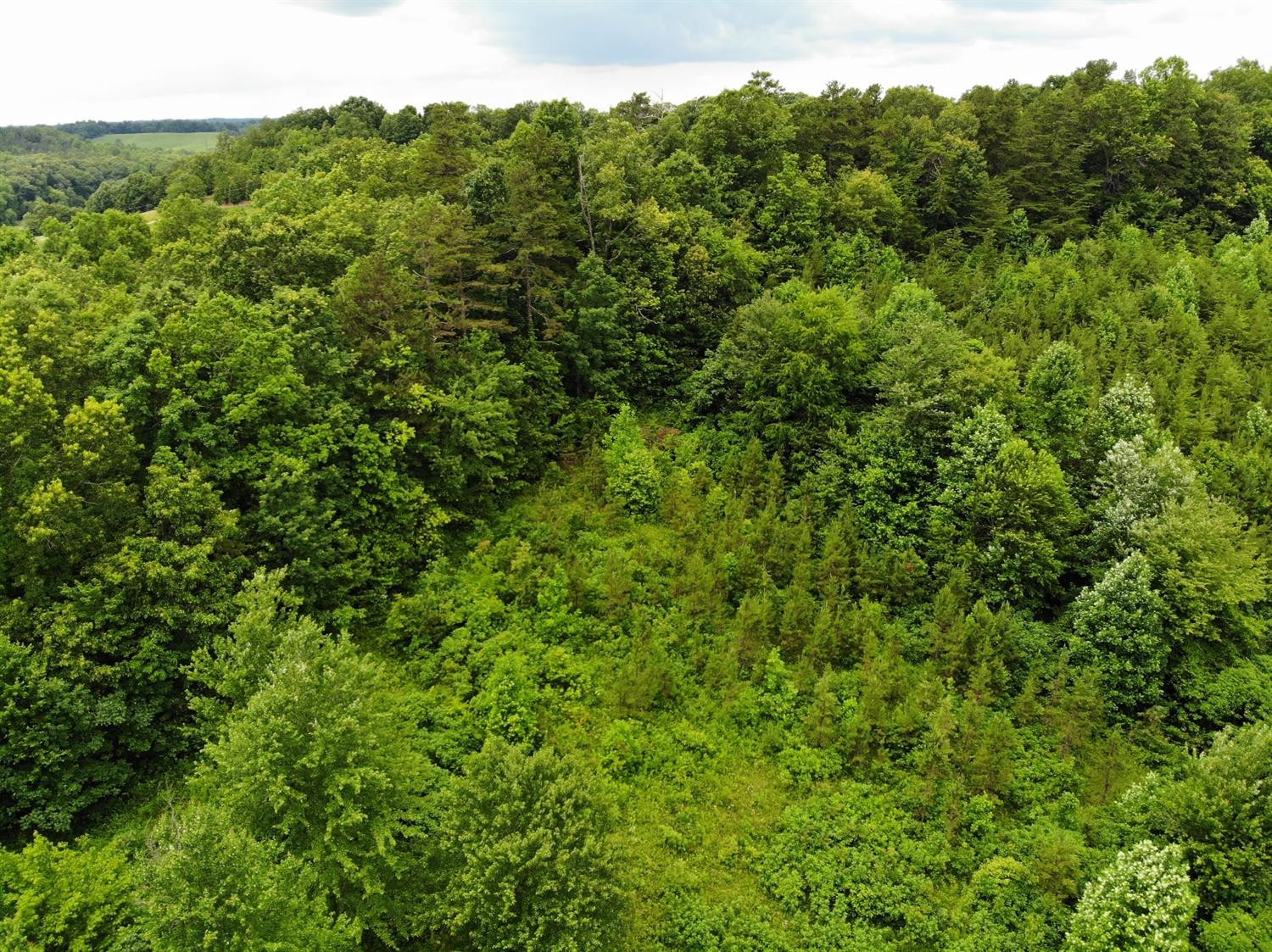 1195 Ingram Road Annville, KY 40402 - Photo 7 of 29 Photo 7